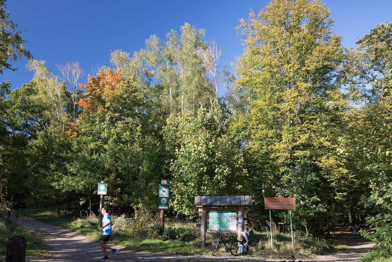 Entrance path into the Bielany Forest in Warsaw