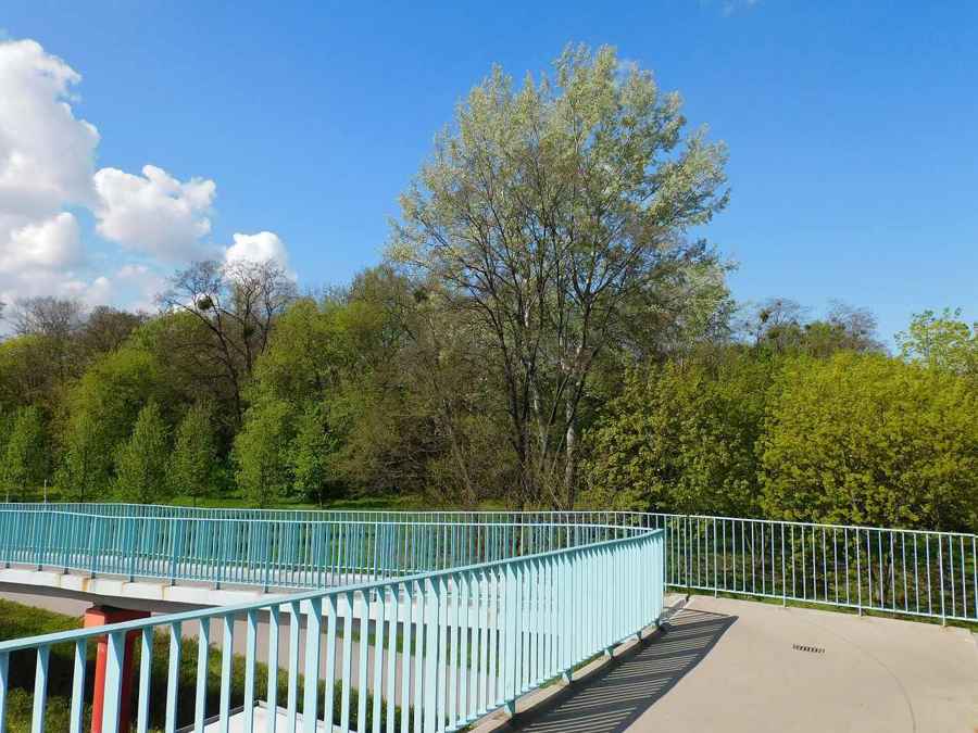 A footbridge and greenery in Park Moczydlo, Warsaw