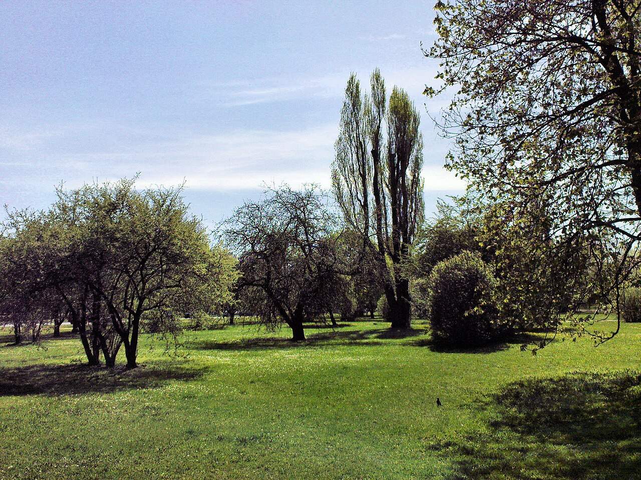 Lawns and trees in Pole Mokotowskie park in Warsaw