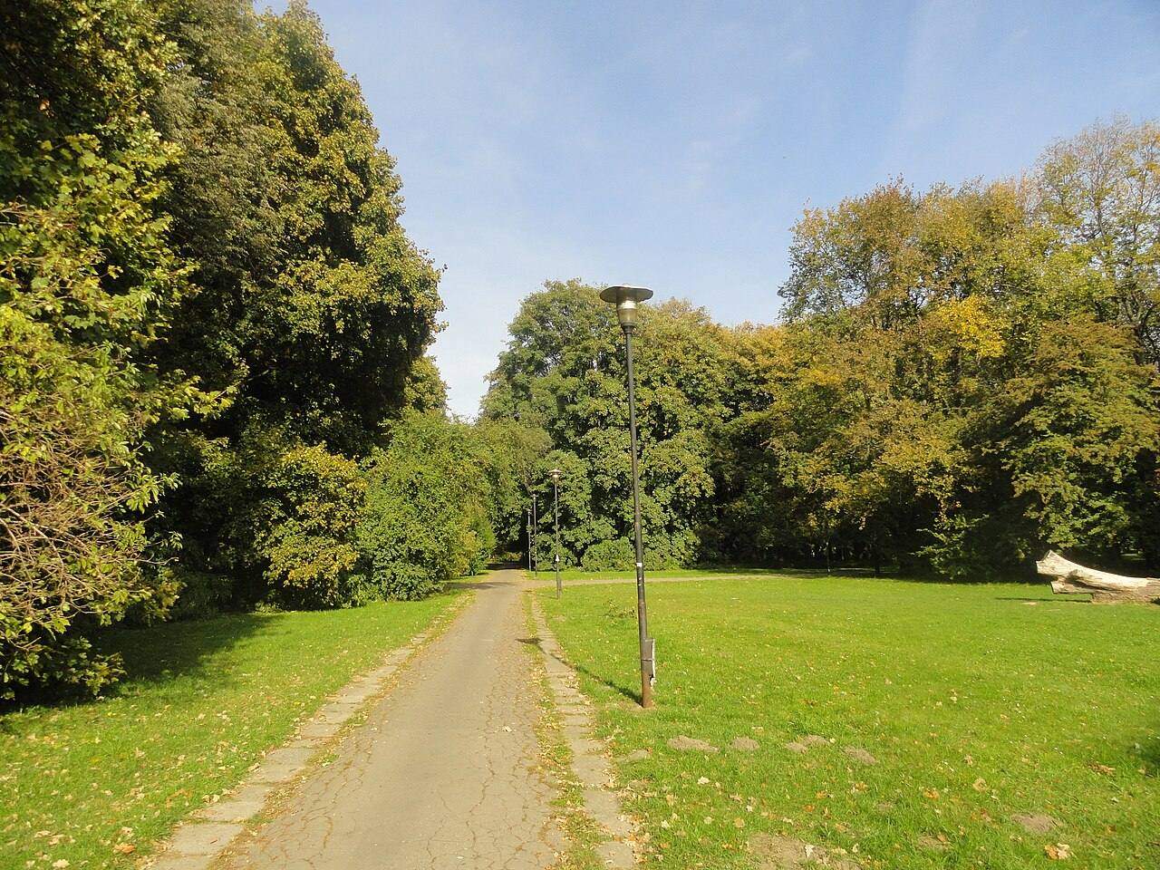 Open lawns and trees of Pole Mokotowskie park in Warsaw