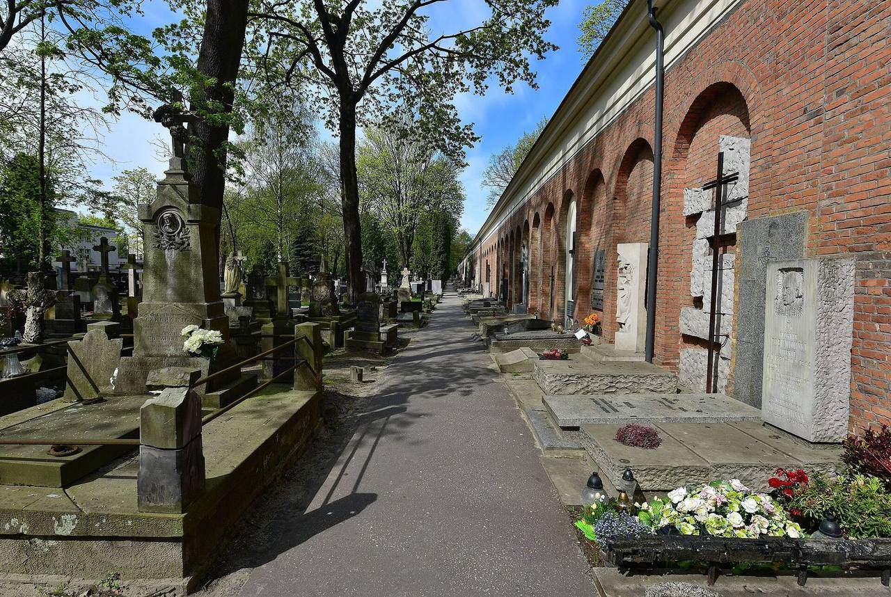 Tree lined Avenue of the Meritorious at Powazki Cemetery in Warsaw