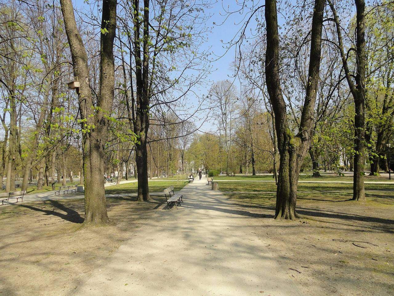 Tree-lined alley in the Saxon Garden, Warsaw's oldest public park